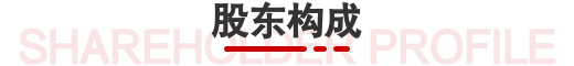 湖北消金股东背景色